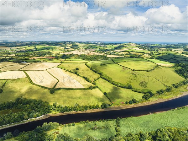 Sharpham Meadows and Marsh over River Dart from a drone, Totnes, Devon, England, United Kingdom,