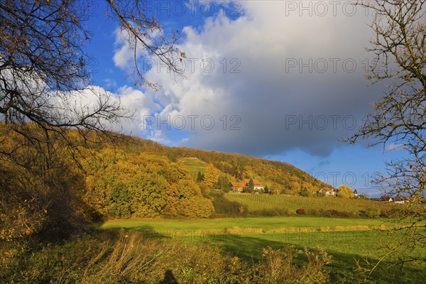 (Copyright Â©www.dresden fotografie.de) (Sylvio Dittrich +49 1772156417) Pillnitz Palace Park