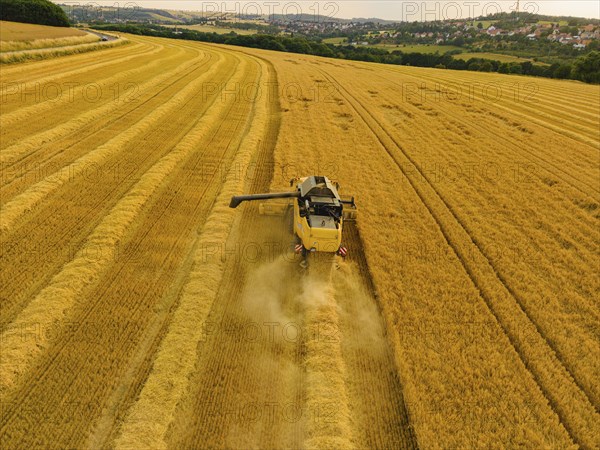 Grain harvest in a field near Babisnau on the outskirts of Dresden