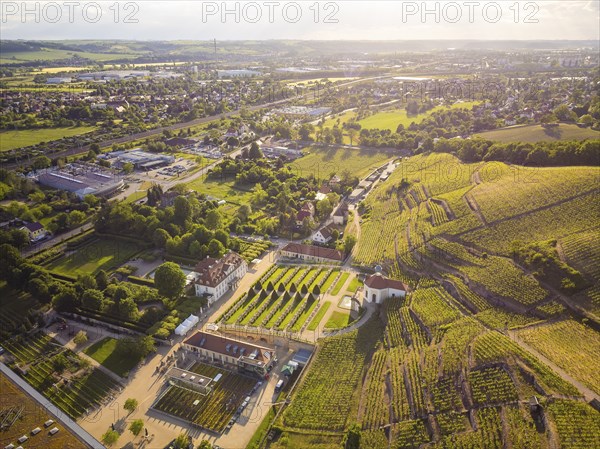 Wackerbarth Castle, originally Wackerbarths Ruh', is a Baroque castle surrounded by vineyards in