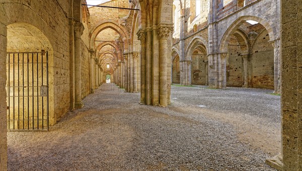 Nave and aisle, church ruins of the Cistercian Abbey of San Galgano, Abbazia San Galgano, Gothic,