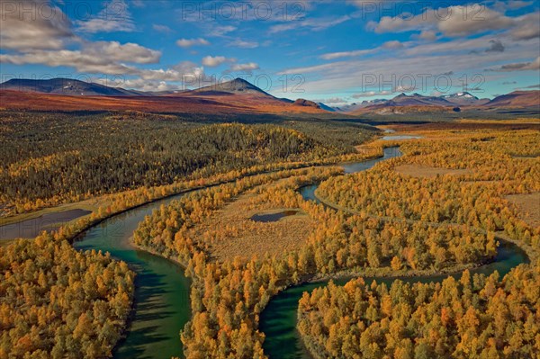 Drone shot, view of the Änok marshland with river Kamajakka, birch forests, autumn, intense