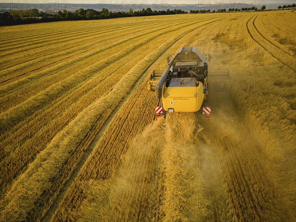 Grain harvest in a field near Babisnau on the outskirts of Dresden
