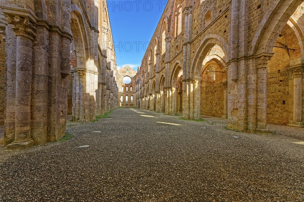Nave, crossing and choir, church ruins of the Cistercian Abbey of San Galgano, Abbazia San Galgano,