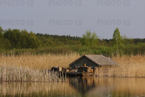 Self-built raft in the reeds, alternative lifestyle, hippie, Müritz National Park,