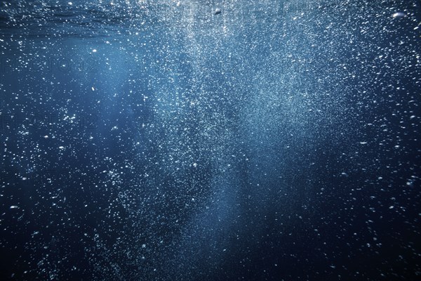 Rising air bubbles, island Vis, Mediterranean Sea, Croatia, Europe