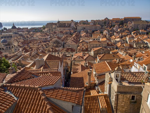 View of an urban roofscape with red tiled roofs and the sea in the background, dubrovnik,