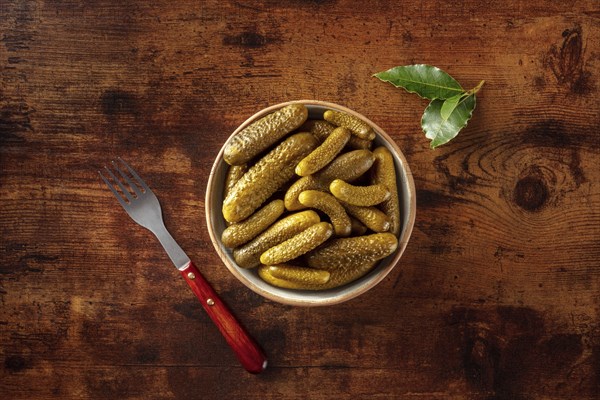 Pickled cucumbers with bay leaf. Fermented food. Homemade canned gherkins. Top shot on a rustic
