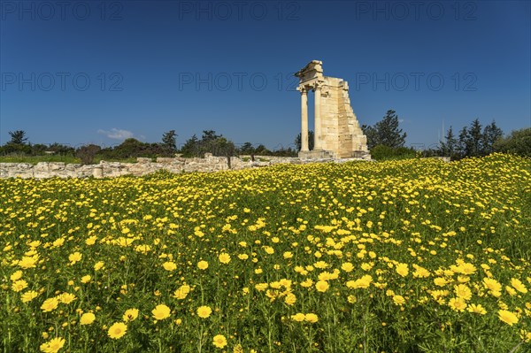Sanctuary and temple of Apollo Hylates in the ancient city of Kourion, Episkopi, Cyprus, Europe