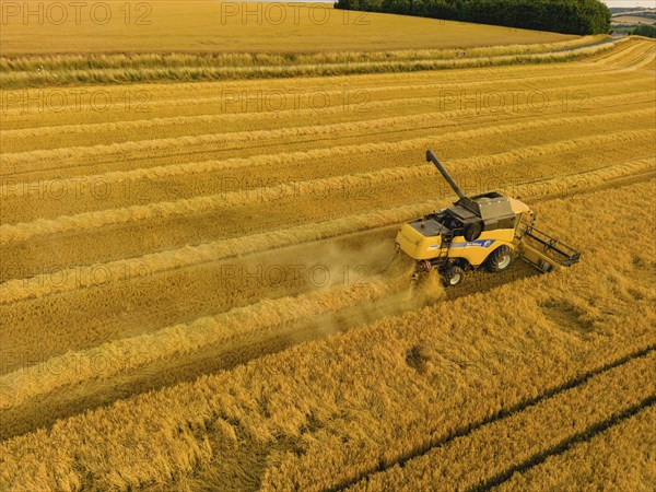 Grain harvest in a field near Babisnau on the outskirts of Dresden