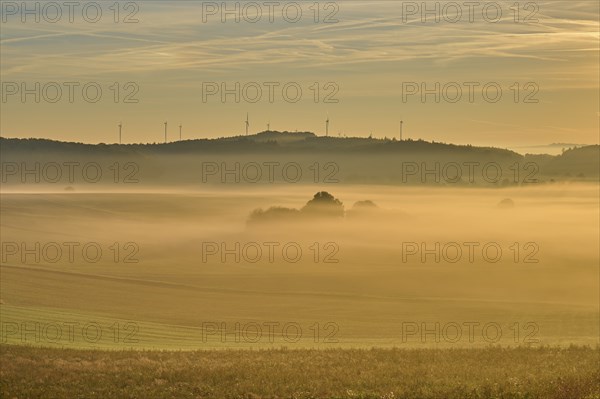 Landscape, fields, wind turbines, fog, sunrise, Höhefeld, Wertheim, Baden-Württemberg, Germany,
