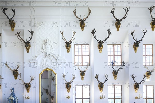 Moritzburg Baroque Palace Dining Room