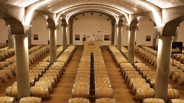 Long room with rows of wine barrels under a vaulted ceiling, illuminated by subdued light, Donna