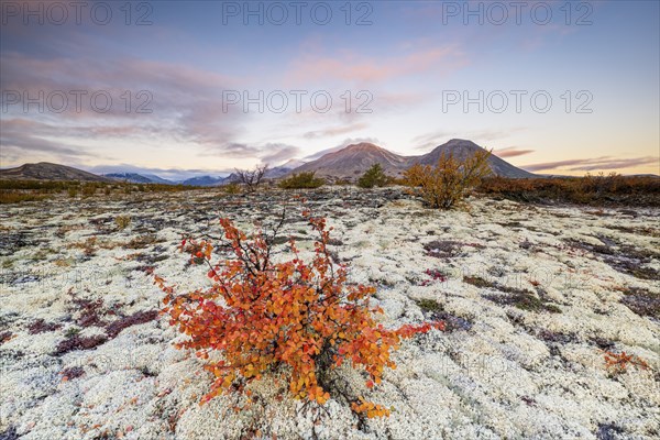 Autumn landscape in Rondane National Park, Norway, Europe