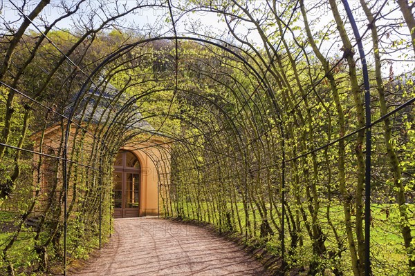 Weesenstein Castle Park