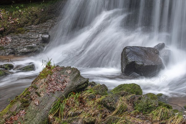 Beautiful fresh mountain waterfall in a wild and remote valley in winter. Vosges, Bas-Rhin,