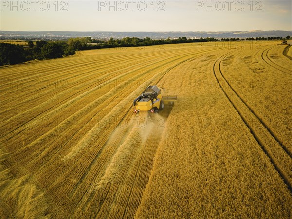 Grain harvest in a field near Babisnau on the outskirts of Dresden