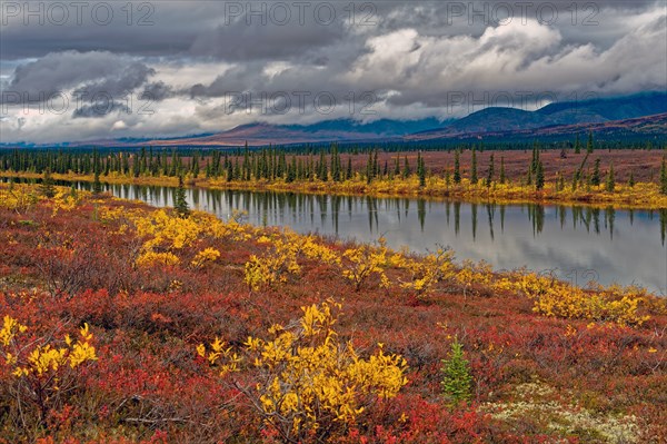 Autumn landscape in Denali State Park, intense colours, reflections in the water, Central Alaska,