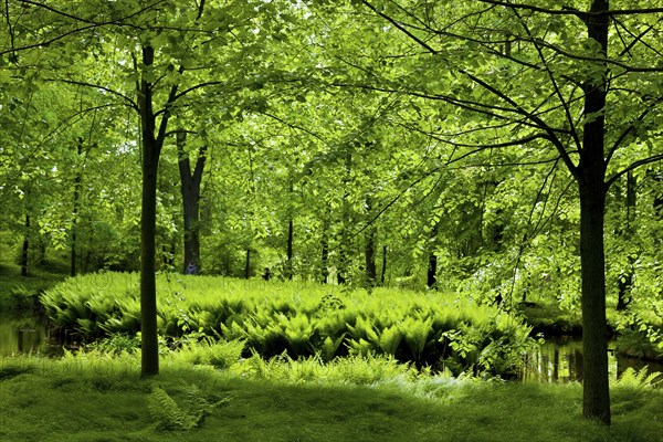 Hermsdorf Castle Park