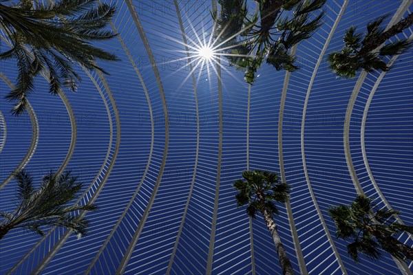 Umbracle, Palm House, Cuitat de les Arts i les Ciences, modern architecture, Valencia, Spain,