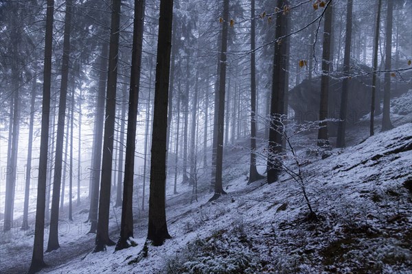 Winter weather on the Gohrisch (447) (8 metres) The Gohrisch is a table mountain in the left-elbe
