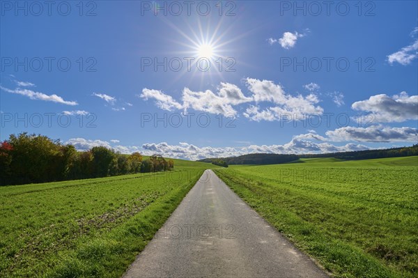Road, field landscape, grain field, forest, sky, sun, clouds, Duttenbrunn, Zellingen, Würzburg,