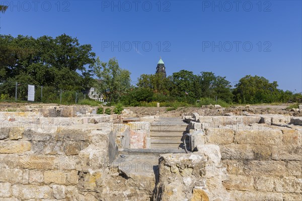 Since mid-June, a 9-strong team from the Saxony State Office for Archaeology has been investigating