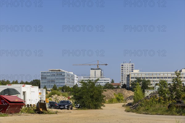 Since mid-June, a 9-strong team from the Saxony State Office for Archaeology has been investigating