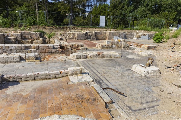 Since mid-June, a 9-strong team from the Saxony State Office for Archaeology has been investigating