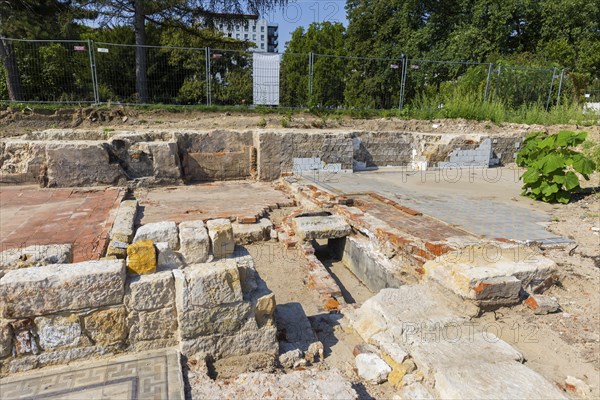 Since mid-June, a 9-strong team from the Saxony State Office for Archaeology has been investigating