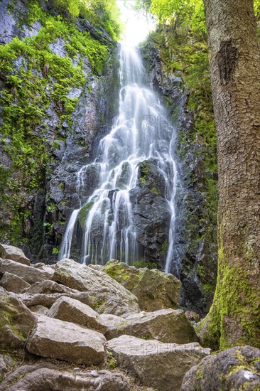 Burgbach waterfall in the sunlight, Black Forest, Bad Ripoldsau, Germany, Europe
