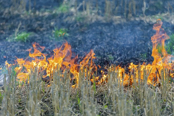 During controlled field fires, the firefighters were able to test various extinguishing methods,