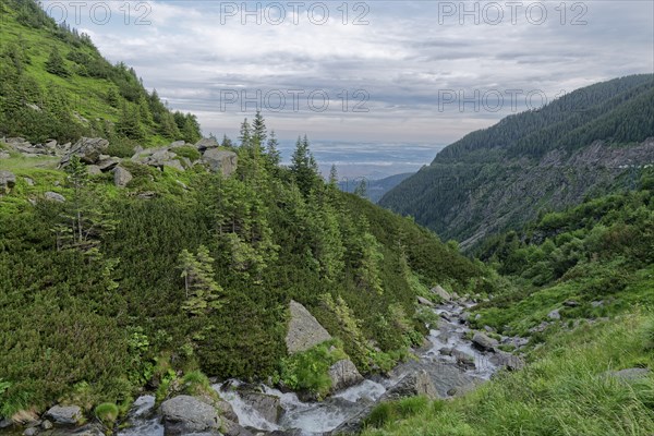 Rocky landscape at the upper course of the Balea stream in the Fagaras Mountains, also Fogaras