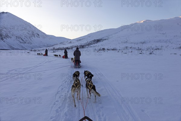 Winter dog sledge ride near Tromso against a grandiose mountain backdrop, Lapland, Norway, Europe