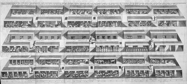 Interior view of Noah's Ark with the animals housed in their compartments on three decks, ca 1850,