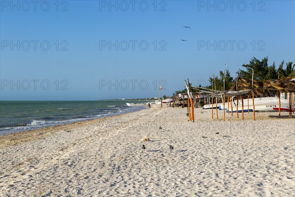 Sandy beach and sea of Gulf of Mexico, coastal fishing settlement of Celestun, Yucatan, Mexico,