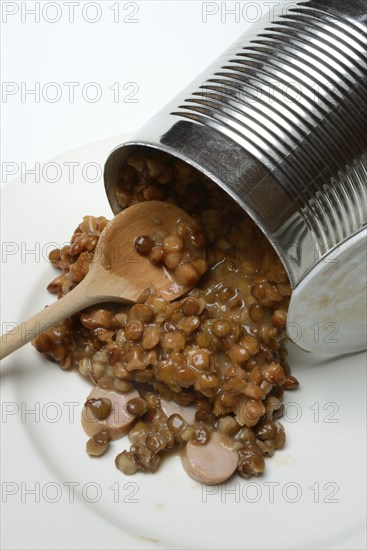 Lentil (Lens culinaris) dish in tin, lentil