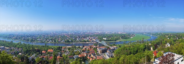Steamboat parade on the Elbe