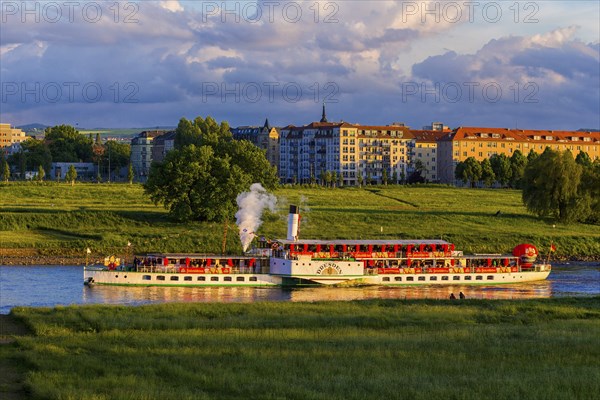 DEU Saxony Dresden Since 1995, at the 25th International Dixieland Festival, steamers and saloon