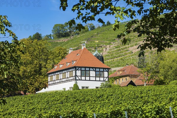 Hoflössnitz st a former Electoral Saxon, now municipal winery on the Saxon Wine Route In the 21st