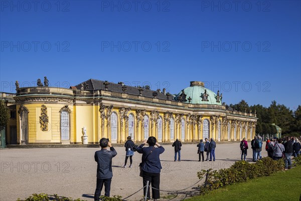 Sanssouci Palace, Royal Summer Palace with 18th century furniture and famous vineyard terraces
