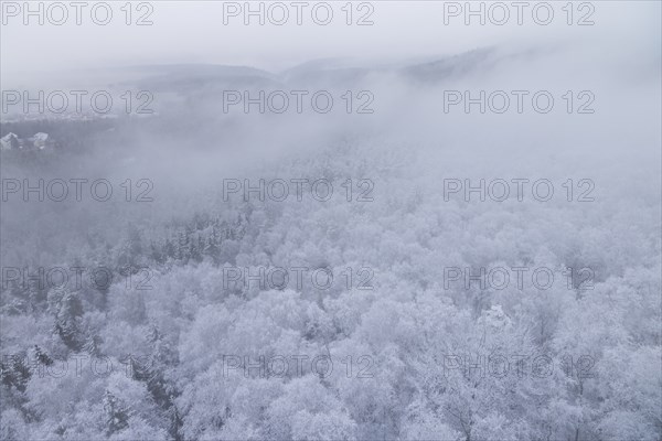 Winter weather on the Gohrisch (447) (8 metres) The Gohrisch is a table mountain in the left-elbe