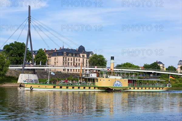 Steamboat parade on the Elbe