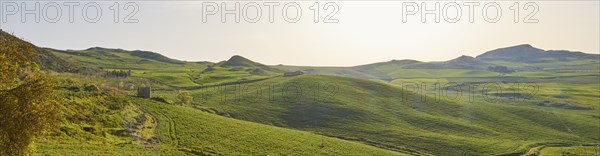 Green hilly landscape, blossoming trees, fields, Madonie National Park, spring, Sicily, Italy,