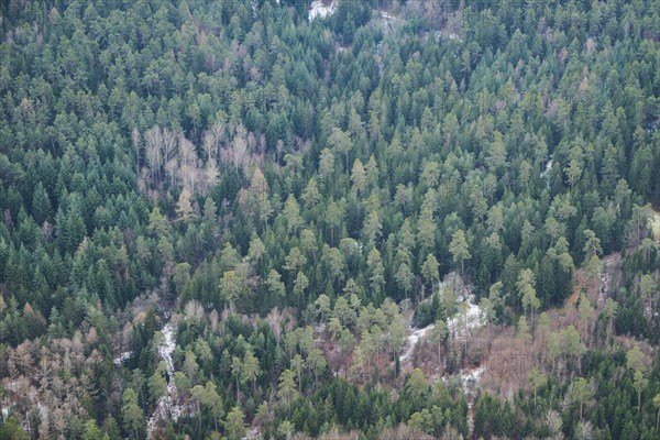 Aerial view of the area around Neumarkt in der Oberpfalz, Bavaria, Germany, Europe
