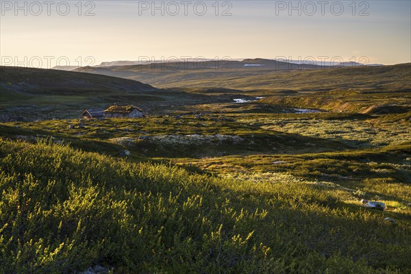 Cabin in the landscape of the Hardangervidda plateau, Norway, Europe