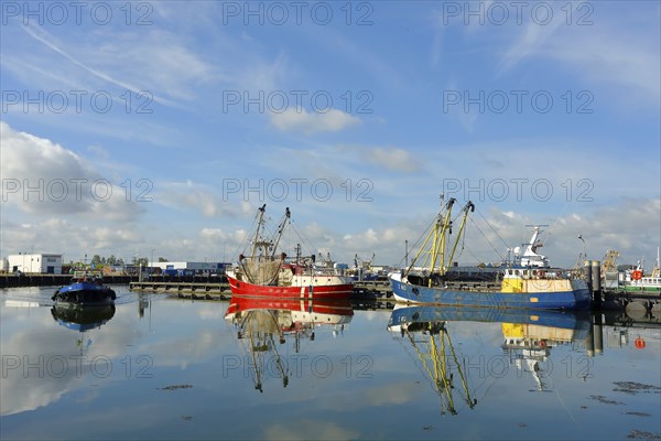 Harbour with fishing boats, Lauwersoog, Lauwersmeer National Park, Holland, Netherlands
