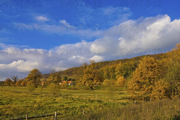 (Copyright Â©www.dresden fotografie.de) (Sylvio Dittrich +49 1772156417) Pillnitz Palace Park