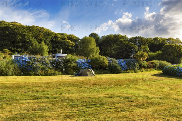 Single tent in a meadow in summer, camping, good weather, Cornwall, South England, England, Great