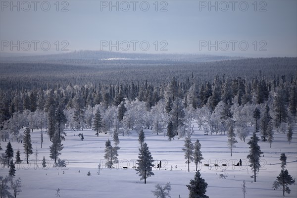 Dog sledding trip through the wintry mountains near Saariselkä, Lapland, Finland, Europe